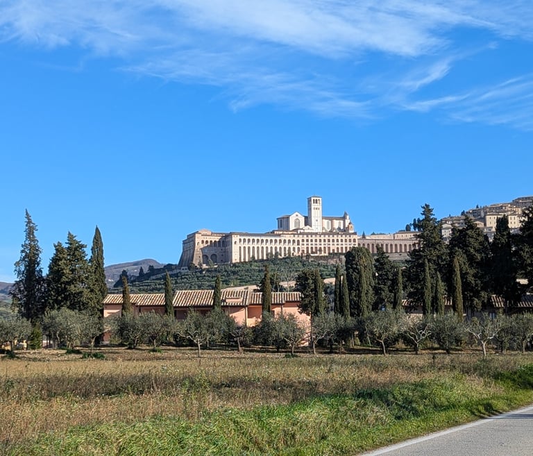 Assisi rising above olive groves beneath a blue sky